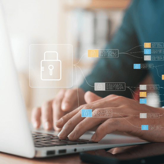 السرية وخصوصية البيانات